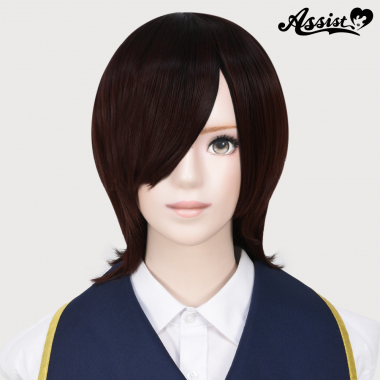 ナチュラルレイヤー　レッドブラウン　2T33