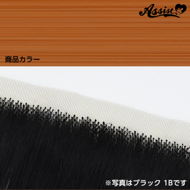 生え際パーツ　ビタータンジェリン　NBT-198