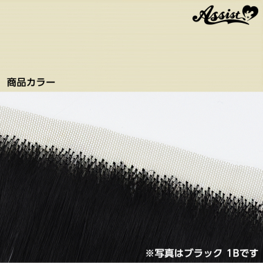 生え際パーツ ハニーミルク NMP-49