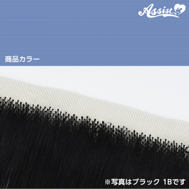 生え際パーツ トルマリン NTM-50
