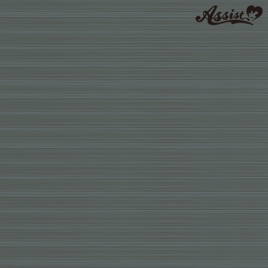 スタイリッシュレイヤー　ダークシルバー　171