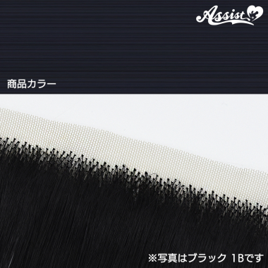 生え際パーツ　アストロノワール　NASN-219