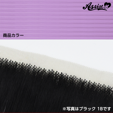 生え際パーツ　アメジスト　NPPA-9