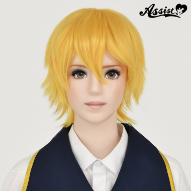 ショートレイヤー サンシャイン NPSS-78