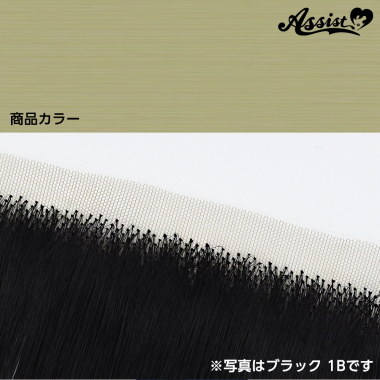 生え際パーツ パウダーゴールド NPG-123