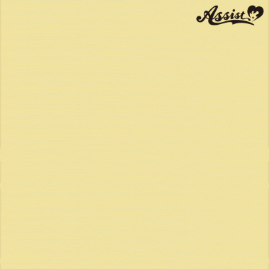 フロントレースショート改　ゴールド　613