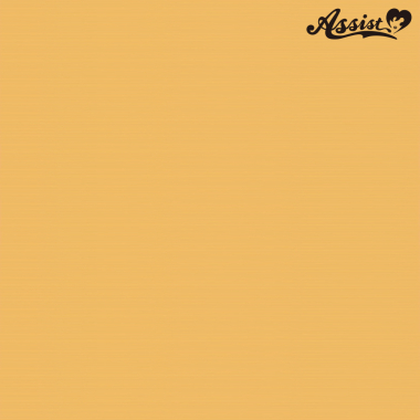 スタイリッシュレイヤー　カナリア　NGY-60