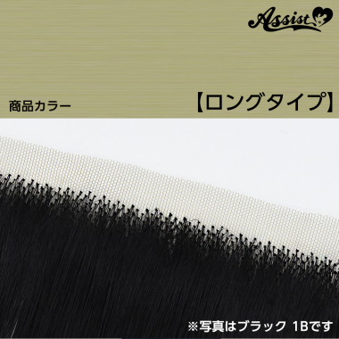 生え際パーツ ロングタイプ パウダーゴールド NPG-123