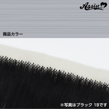 生え際パーツ エトワールグレイ NETG-211