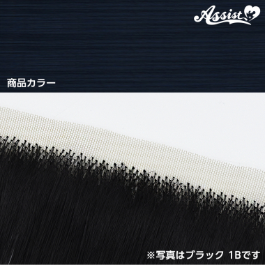 生え際パーツ ダークブルー NDRB-99