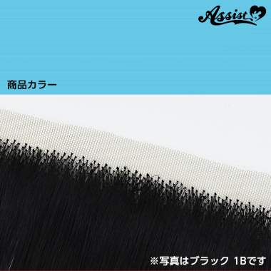生え際パーツ レイブルー NRB-31