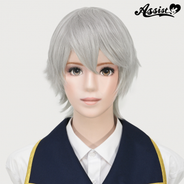 ショートレイヤー　シルバー　NS-15