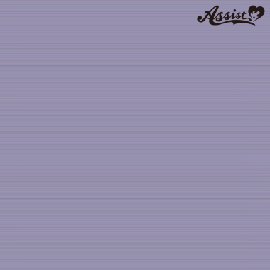 スタイリッシュレイヤー　パープルシルバー　NPS-144