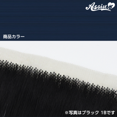 生え際パーツ　サイエンスブルー　NSCBL-223