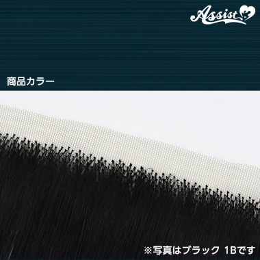 生え際パーツ クラヴィスターマリン NCSM-203