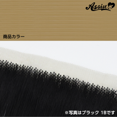 生え際パーツ　ミルクティーゴールド　22