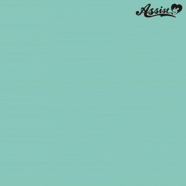 スタイリッシュレイヤー パステルグリーン NGUS-63