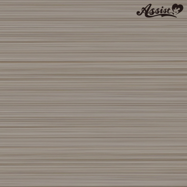 フロントレースショート改　ティーシルバー　NTEA-213