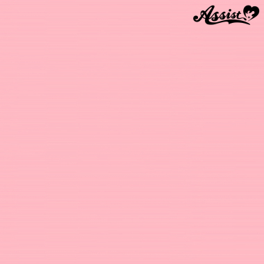 フロントレースロングDX　ライトピンク　NPI-6