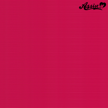 スタイリッシュレイヤー ジンジャー NMDB-23