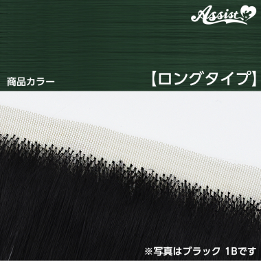 生え際パーツ ロングタイプ ヴィリジアン NME-22