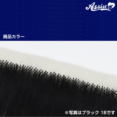 生え際パーツ プレミアムブルー NBM-75