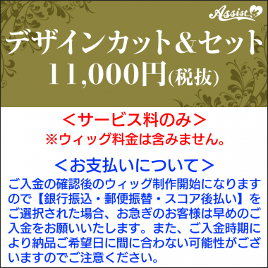 デザインカット&セット　11,000円(税抜)