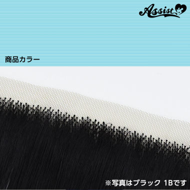 生え際パーツ シーソルト NMBM-69