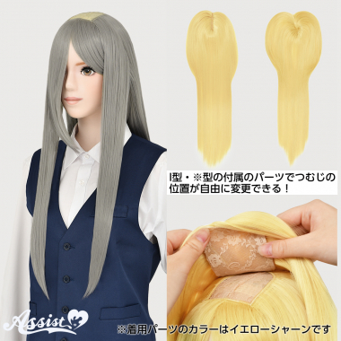 つむじ付け替えロング ハーフシルバー NSD-71
