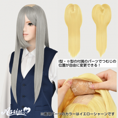 つむじ付け替えロング シルバー NS-15