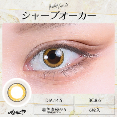 Husky Eye :Re 1Day シャープオーカー