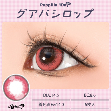 Puppilla 1Day Syrup　グアバシロップ