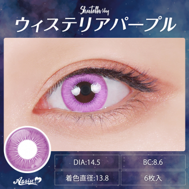 Assist ChouChou Shutella 1Day　ウィステリアパープル