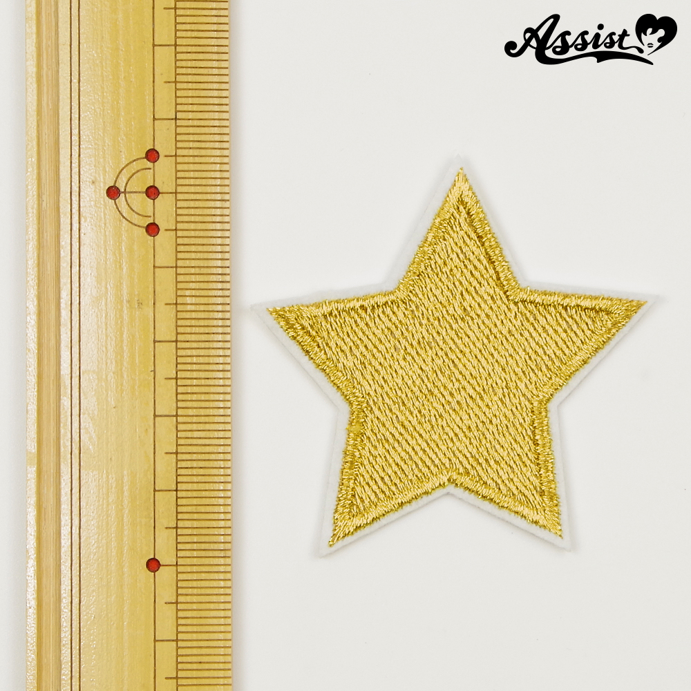 星刺繍　タイプC　1個　ゴールド　5.5cm