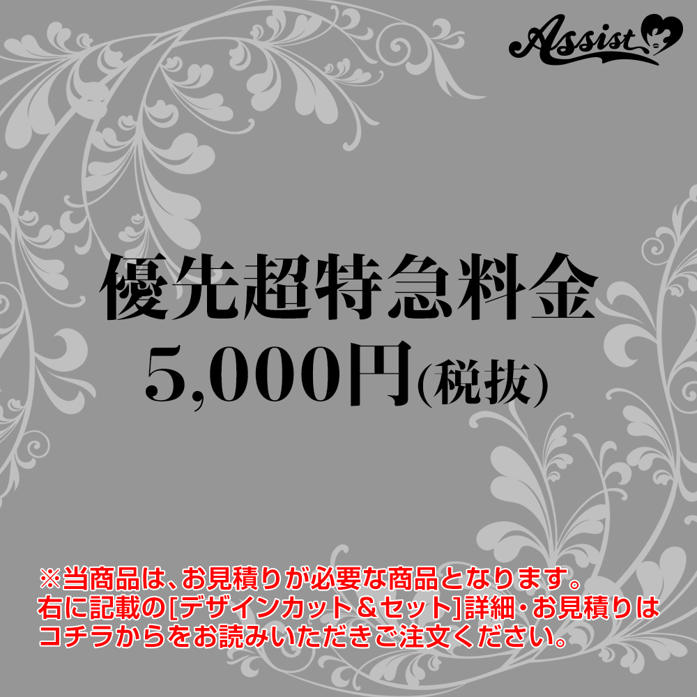 デザインカット&セット　超特急制作サービス料金　5,000円(税抜)