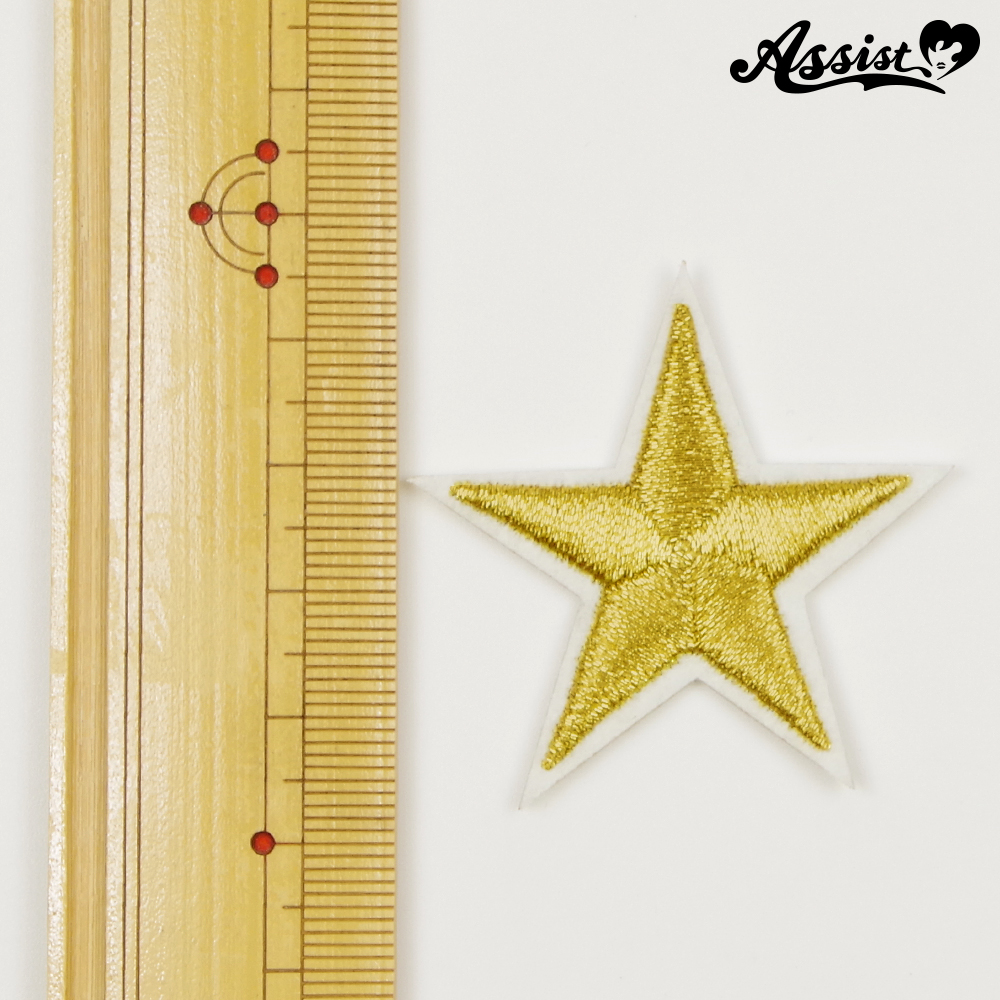 星刺繍　タイプA　1個　ゴールド　4cm
