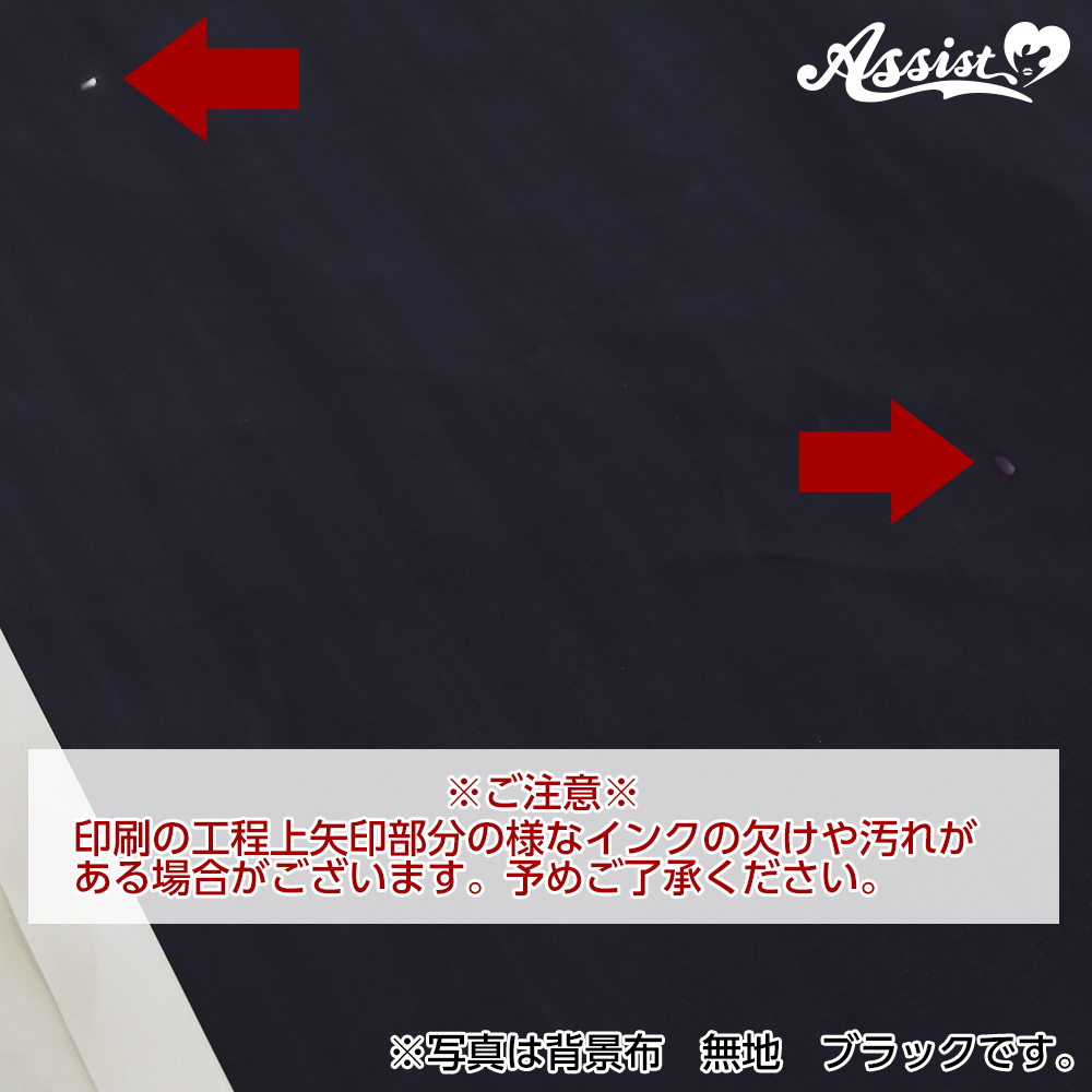 期間限定セール 背景布 パステル イエロー コスプレウィッグ総合専門店 アシストウィッグ オンラインショップ