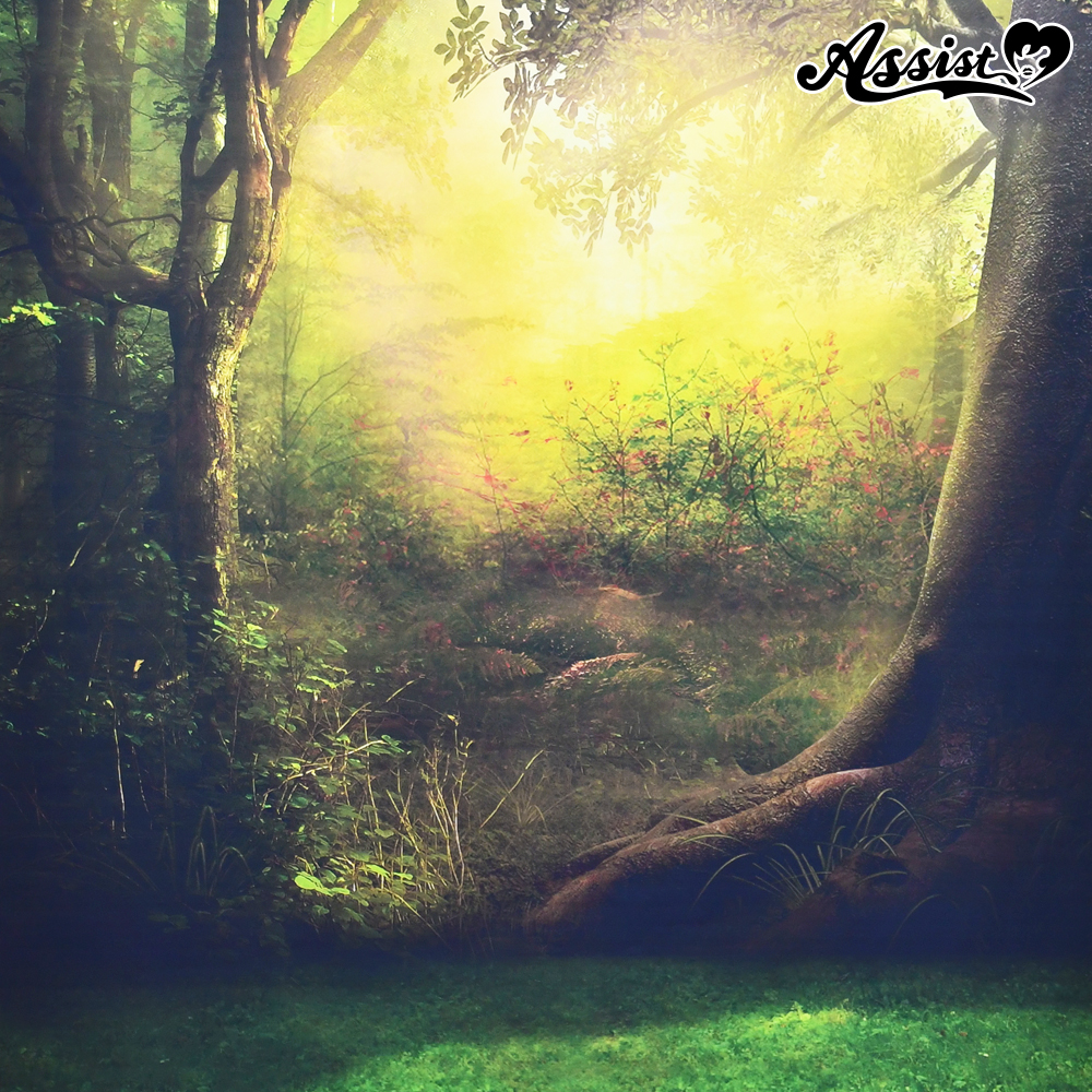 背景布63 森 コスプレウィッグ総合専門店 アシストウィッグ オンラインショップ