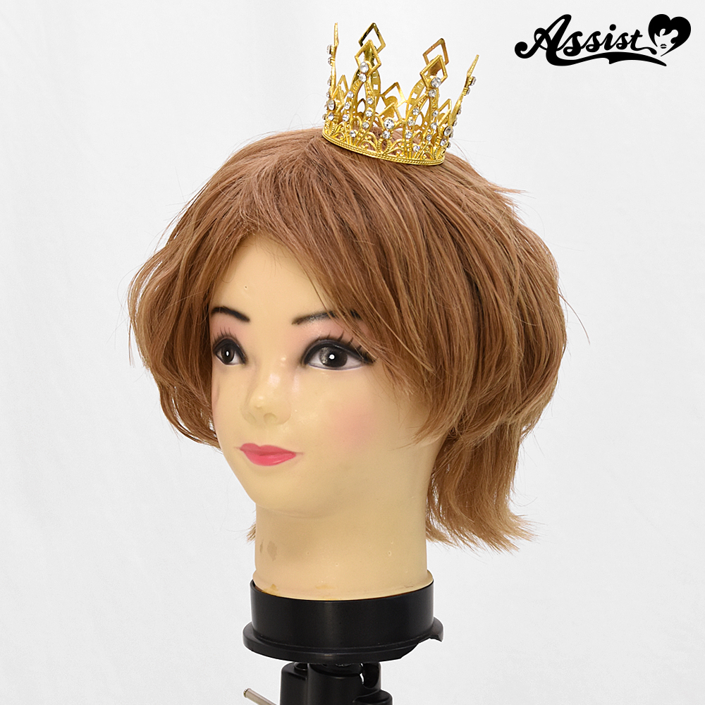 王冠 タイプc コスプレウィッグ総合専門店 アシストウィッグ オンラインショップ