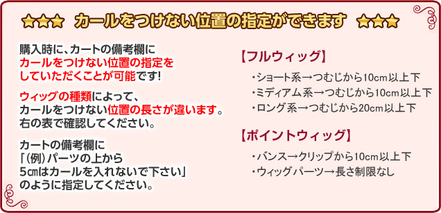 ポイントウィッグ料金