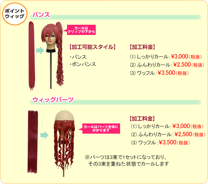 ポイントウィッグ料金