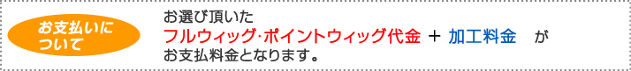 ポイントウィッグ料金